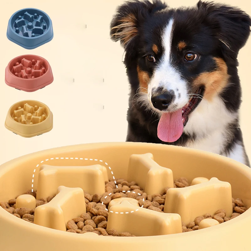 Миска для медленного кормления – обзор и цена Royal Canin Food Medium